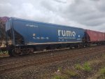 RUMO HTT-350761-1